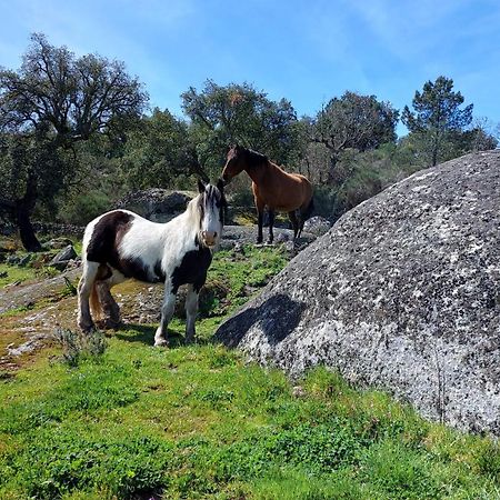 Magic Nature Lodge Marvão Eksteriør bilde