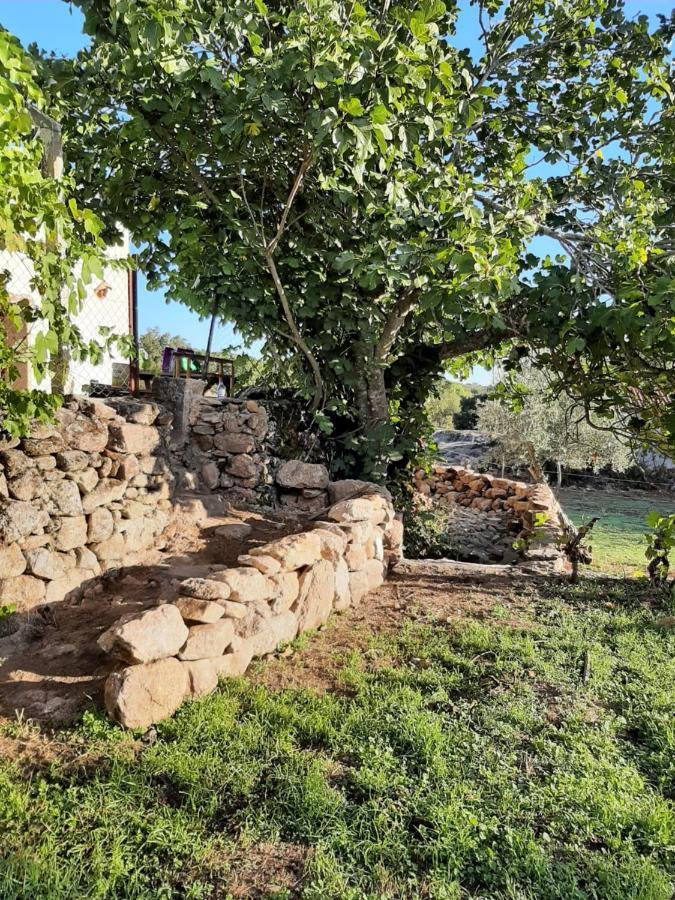 Magic Nature Lodge Marvão Eksteriør bilde