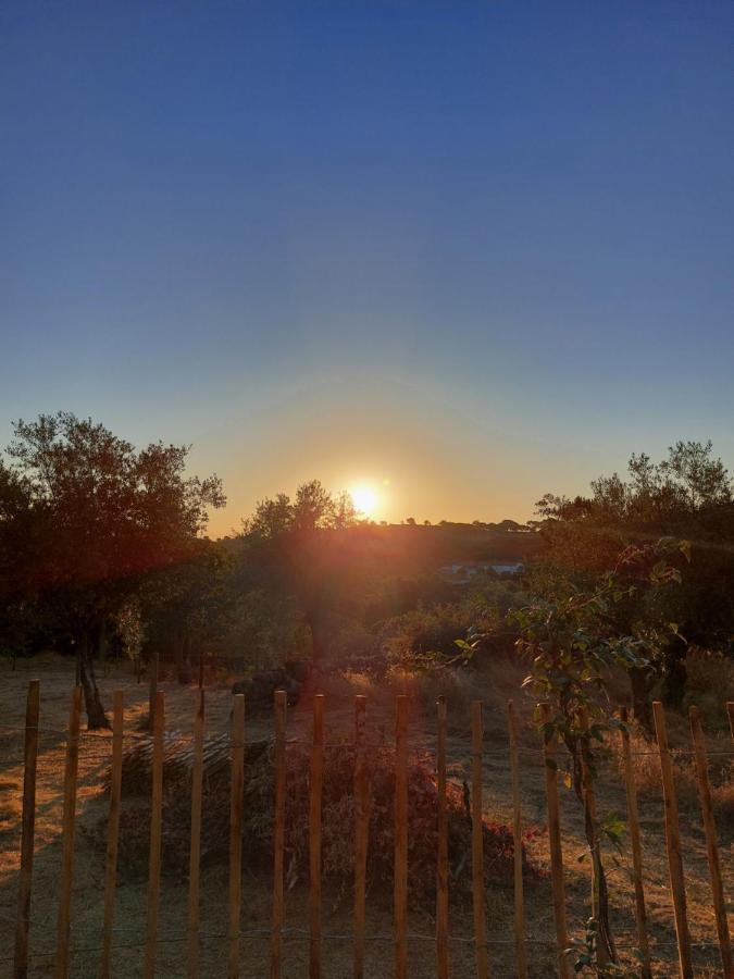 Magic Nature Lodge Marvão Eksteriør bilde