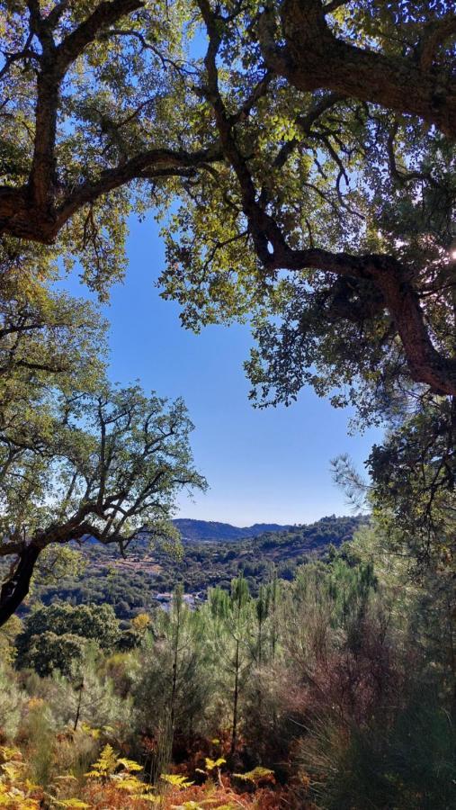 Magic Nature Lodge Marvão Eksteriør bilde